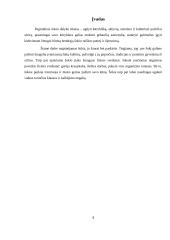 Šokis ir asmenybės raida 3 puslapis