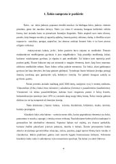 Šokis ir asmenybės raida 4 puslapis