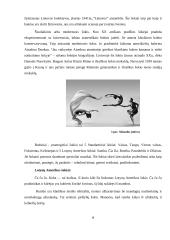 Šokis ir asmenybės raida 6 puslapis