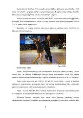 Šokis ir asmenybės raida 7 puslapis