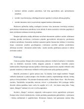 Kainodaros galimybių studija 4 puslapis
