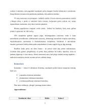 Kainodaros galimybių studija 5 puslapis