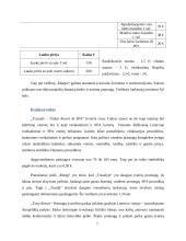 Kainodaros galimybių studija 7 puslapis