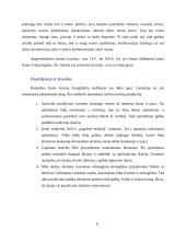 Kainodaros galimybių studija 8 puslapis