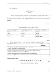 Krabų lazdelių vežimo maršrutu Klaipėda (Lietuva) – Viena (Austrija) technologinio proceso sudarymas 18 puslapis