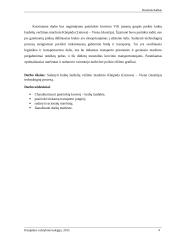 Krabų lazdelių vežimo maršrutu Klaipėda (Lietuva) – Viena (Austrija) technologinio proceso sudarymas 4 puslapis