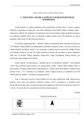 Krabų lazdelių vežimo maršrutu Klaipėda (Lietuva) – Viena (Austrija) technologinio proceso sudarymas 7 puslapis