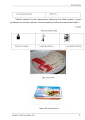 Krabų lazdelių vežimo maršrutu Klaipėda (Lietuva) – Viena (Austrija) technologinio proceso sudarymas 8 puslapis