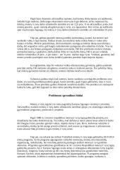 Socialinės gerovės politikos dokumentų analizė 4 puslapis