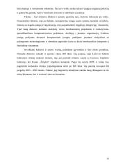 CRM sistema 12 puslapis