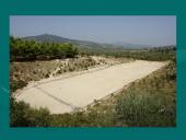 Olimpinis judėjimas 6 puslapis