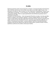 Kelionės organizavimas į Barseloną projektas 12 puslapis