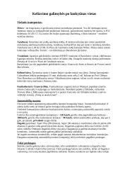 Kelionės organizavimas į Barseloną projektas 14 puslapis