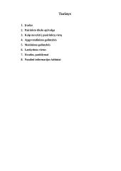 Kelionės organizavimas į Barseloną projektas 19 puslapis