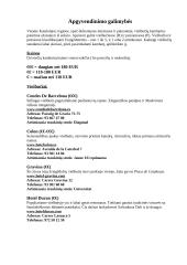 Kelionės organizavimas į Barseloną projektas 10 puslapis