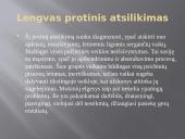 Nežymiai protiškai atsilikusių mąstymo ugdymas per fizinę veikla 3 puslapis