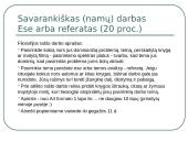 Filosofija - skaidrės 6 puslapis