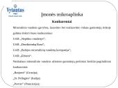 Mineralinio vandens "Vytautas" marketingo strategija 4 puslapis