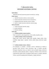 Laboratorinis darbas Benzininė maitinimo  sistema 2 puslapis