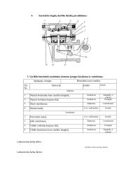 Laboratorinis darbas Benzininė maitinimo  sistema 3 puslapis