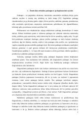 Ratinio traktoriaus dinamika nuo padangų įtakos 4 puslapis