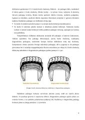 Ratinio traktoriaus dinamika nuo padangų įtakos 5 puslapis