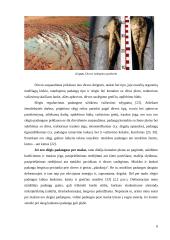 Ratinio traktoriaus dinamika nuo padangų įtakos 7 puslapis