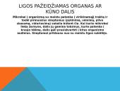 Apsinuodijimas maistu 3 puslapis