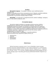 Paauglių deviantinis elgesys 4 puslapis