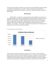 Paauglių deviantinis elgesys 6 puslapis