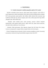 Liuksemburgo ekonominė ir politinė geografinė padėtis 19 puslapis