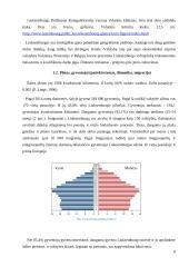 Liuksemburgo ekonominė ir politinė geografinė padėtis 8 puslapis