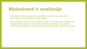 Bioįvairovė 6 puslapis