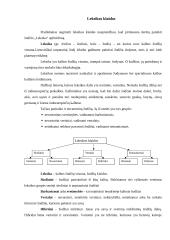 Pagrindinės leksikos klaidos 3 puslapis