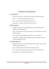 Kompiuterių tipai referatas 14 puslapis