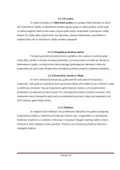 Kompiuterių tipai referatas 18 puslapis