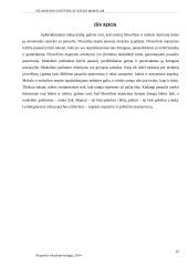 Filosofijos santykis su kitais mokslais 12 puslapis