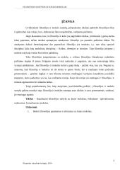 Filosofijos santykis su kitais mokslais 3 puslapis