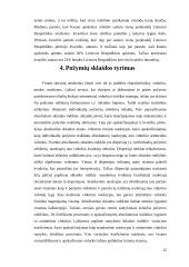 Migrantai Lietuvos Respublikoje ir Kauno apskrityje 2000-2014 metais 12 puslapis