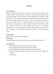 Belgijos tarptautinės ekonomikos trūkumai, privalumai, problemos ir poveikis ES šalių ekonomikai 3 puslapis