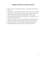 Belgijos tarptautinės ekonomikos trūkumai, privalumai, problemos ir poveikis ES šalių ekonomikai 4 puslapis