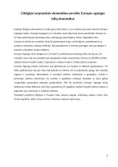 Belgijos tarptautinės ekonomikos trūkumai, privalumai, problemos ir poveikis ES šalių ekonomikai 8 puslapis