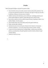 Belgijos tarptautinės ekonomikos trūkumai, privalumai, problemos ir poveikis ES šalių ekonomikai 9 puslapis