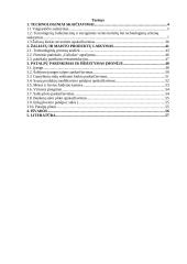 30 vietų kavinės projektavimas 2 puslapis