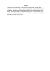 30 vietų kavinės projektavimas 3 puslapis