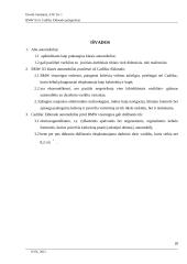 BMW X5 ir Cadillac Eldorado palyginimas 20 puslapis