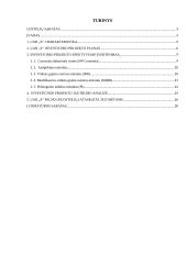 UAB „X“ investicinis projektas 2 puslapis