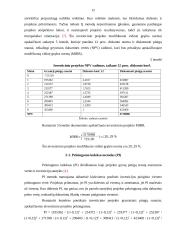 UAB „X“ investicinis projektas 12 puslapis