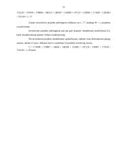 UAB „X“ investicinis projektas 13 puslapis