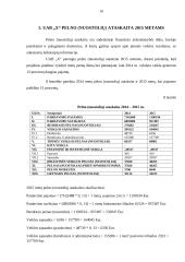 UAB „X“ investicinis projektas 16 puslapis